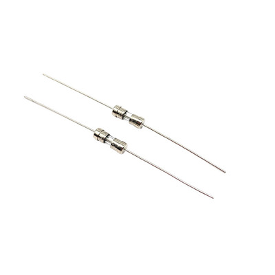 Axial Leaded Slow Blow Glass Fuse 3.6x10mm